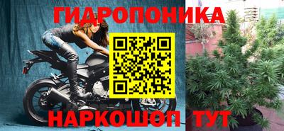 индика Мариинск