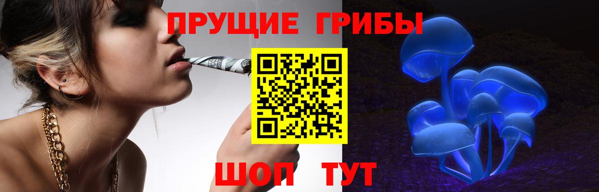 Елабуга  Галлюциногенные грибы Cubensis  Галлюциногенные грибы мицелий  Вход с VPN 